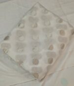 Premium Banarasi Organza Fabric