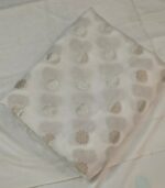 Premium Banarasi Organza Fabric