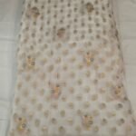 Premium Banarasi Organza Multicolor Fabric