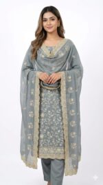 Organza Embroidered Suit Set