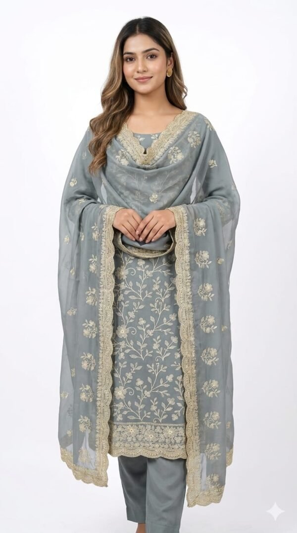 Organza Embroidered Suit Set